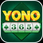 Yono 365