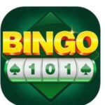 Bingo101