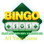 Bingo 101