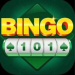 Bingo 101